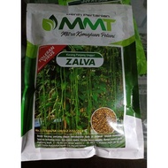T0M2-zalva benih kacang panjang dari mmt (toleran virus) -