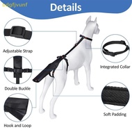 BDGF Dog Tail Protector, Dog Tail Guard For Medium Large Dogs, Adjustable Cover To Prevents Liing Wo