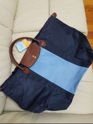 藍色 可摺疊 實用袋 (尺寸22x14x8吋)