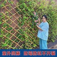 伸縮竹子籬笆戶外園藝庭院菜園花園圍墻柵欄竹竿爬藤架裝飾竹護欄