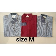 Cole Brandmatahari Adult Guy Shirt