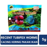 CACING KERING TUBIFEX WORM