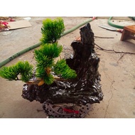 Fish tank decoration size 20 x 20 x 25