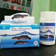 Cursed snakehead fish albumin capsules