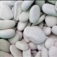 500 grams of white coral stone, coral stone for aquarium base