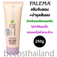 Palema Damaged Hair Rebuilder 250g พาลีม่า ครีมจับลอนและบำรุงเส้นผม ไอเท็มฮิต สำหรับผมดัด/ผมหยิก