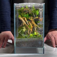 雲過枝影 / 客製化微景觀生態缸