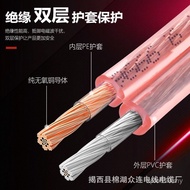 Audio Cable-1000 Speaker Cable Oxygen-Free Copper Core Double-Layer Speaker Cable 100 Gold Silver Wi