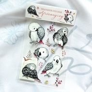 轉印貼紙 / 非洲灰鸚鵡圖鑑水晶轉印貼紙