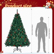 Cây Thông Xanh Tán Dày Rậm Đính Trái Thông C28 2.1m 2.4m Cây Thông Trang Trí Noel TR39