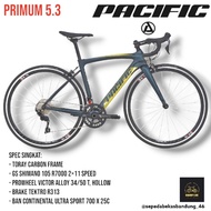 Roadbike/pacific Primum 5.3 Carbon Racing Bike