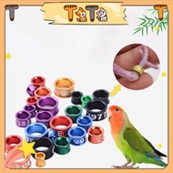 Ti Ti  Love birds foot ring 3.5/4/5mm/6/7/8mm Birds Foot Ring for African Cockatails Budgies foot