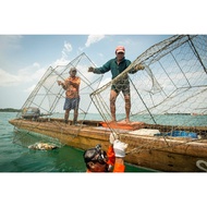 Paling Murah Kawat Bubu Ikan/ Reban Ayam Tahan Karat & Lama (Diamond Brand)