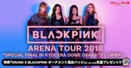 【代購】BLACKPINK 2018 日本競技場巡迴演唱會 Ｔ恤 韓國YG 官方周邊