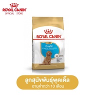 Royal Canin Poodle Puppy โรยัล คานิน อาหารเม็ดลูกสุนัข พันธุ์พุดเดิ้ล อายุต่ำกว่า 10 เดือน (กดเลือกขนาดได้ Dry Dog Food)