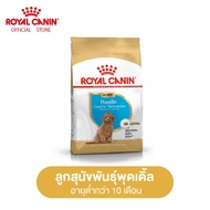 Royal Canin Poodle Puppy โรยัล คานิน อาหารเม็ดลูกสุนัข พันธุ์พุดเดิ้ล อายุต่ำกว่า 10 เดือน (กดเลือกข