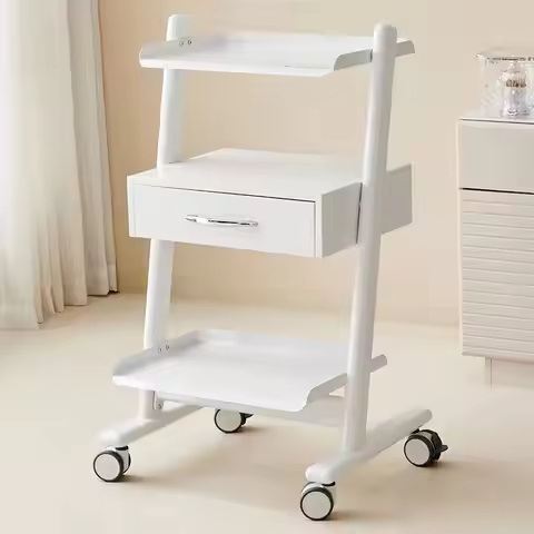 Trendy Moving Salon Trolley Beauty Storage Modern Nordic Trolley Cart Portable Luxury Carritos Organ