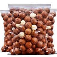 Ready Stock spot [Super Big] Macadamia Nuts Macadamia Nuts