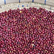 Biji saga (Saga telik) matang sangrai 200 gram