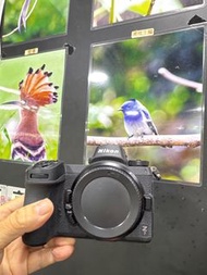 nikon Z7 Z 7 BODY 相機 