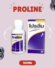Proline น้ำหวานโปรลีน ขนาด 100 ML กลิ่นองุ่น.
