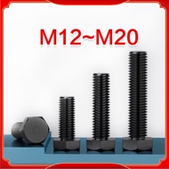 Black Nylon Allen Screw Plastic Screw Insulated Hex Head Screw Plastic Bolt Screw M12/M14/M16/M18/M2