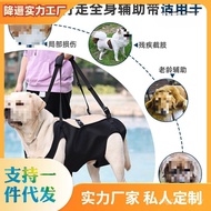 Strap Auxiliary Decompression Strap Injured Dog Outing Injured Dog Auxiliary Dog Dog Age Macro Black