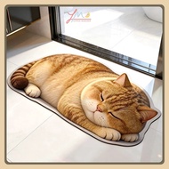 MR MAT 3D Cat Character Diatomite Doormat Anti-Slip Floor MAT Bathroom MAT