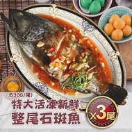 【優鮮配】特大活凍新鮮整尾石斑魚3尾(530g/尾)免運組