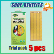 10 Pcs lizard sticky trap (Cicak/Gecko) Sticky Smart Trap / Lizard Killer Lizard glue Strong Adhesiv