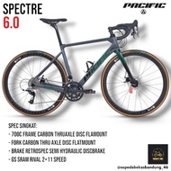 Racing Bike/Roadbike Pacific Spece 6.0 Carbon like new