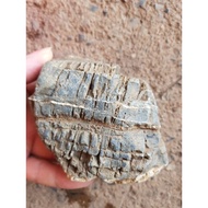 1kg bag - Melon striped stone - Elephant skin stone for aquarium decoration - Aquarium