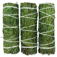 [Cedar] Cedar SAGE Cedar SAGE Aromatherapy Supplies California Red Cedar Aromatherapy Tower Incense 