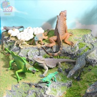 Children Toys Simulation Animal Growth Cycle Model Chameleon Mane Lizard Iguana Growth Change Figure