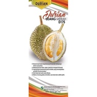 D175 Pokok Durian Udang Merah