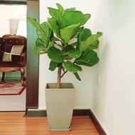 KYRA- BIG MODERN FLOWER POT ( FLOOR POT )