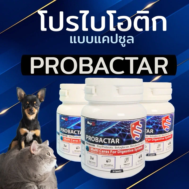 โปรไบโอติก สำหรับสุนัขและแมว Probactar บรรจุ 30 เม็ด