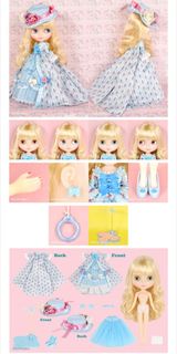 Neo Blythe 14 週年CWC限定小布 Dauphine Dream 全新未拆