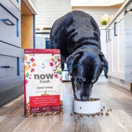 【狗主食】now 牛肉 中型老犬/體控犬 高湯天然糧 乾濕兩吃 狗糧