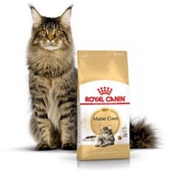 Royal Canin Maine Coon Adult 2KG / Rc maine coon adult 2kg