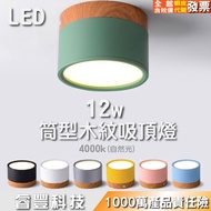 Macaron Downlight 12w Tubular Ceiling Light/12w Surface Mounted Light/Natural Light/Imitation Wood G