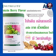 Amway นิวทริไลท์โปรตีน แอมเวย์ กลิ่นเบอร์รี โปรตีนกลิ่นเบอรรี่ 500 กรัมSoy Protein Berry Flavor 500g. ของแท้จากช็อปไทย