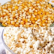 biji jagung popcorn mentah pop corn biji jagung kering - Popcorn-200gr