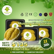 3 BOX | Premium SG Durian Musang King (MSW) 100% FRESH | Bitter-Sweet & Creamy | Same-Day Delivery.