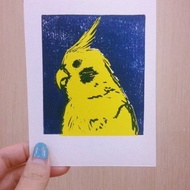 玄鳳鸚鵡版印小卡