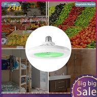 [infinisteed.sg] Remote Control Ceiling Fans Light 30W Mini Fan Lamp 3 Speed for Kitchen Bathroom