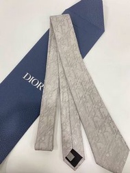 Dior 老花領帶