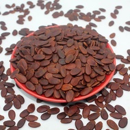 Firewood Roasted Cantaloupe Seeds with Wood Flavor Undyed Melon Seeds Delicious FirmCNY Seeds