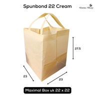 22 Cream Spunbond Bag Cream Color Goodie Bag 23 x 23