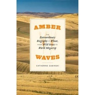 Amber Waves - The Extraordinary Biography of Wheat, from Wild Grass to Wor by Catherine Zabinski (US edition, hardcover)